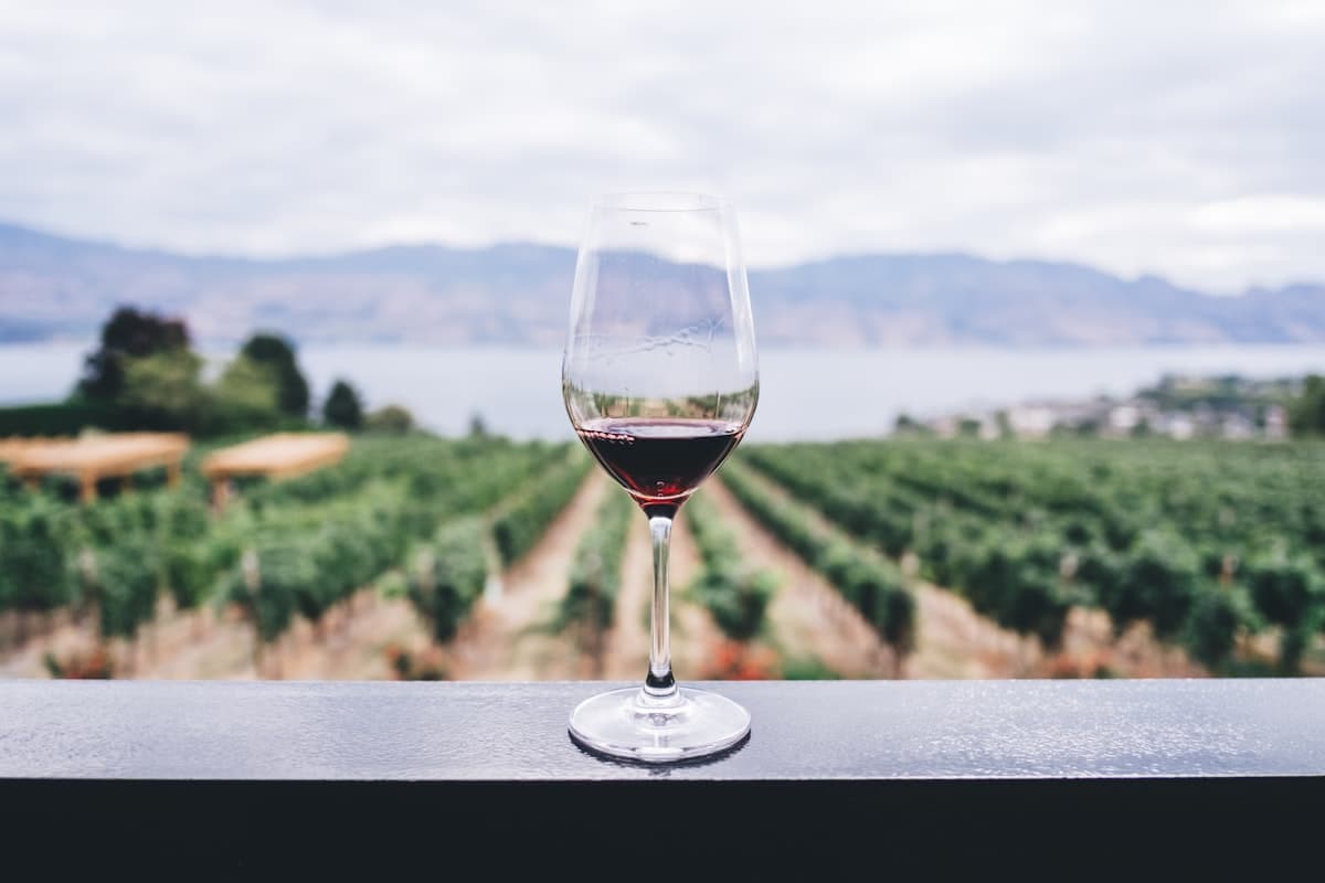 How to Plan a Wine Tour by Party Bus